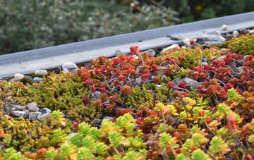 the cost of Snargate green roof installation