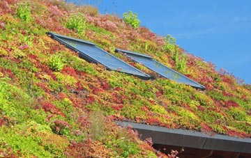 Snargate living roof systems